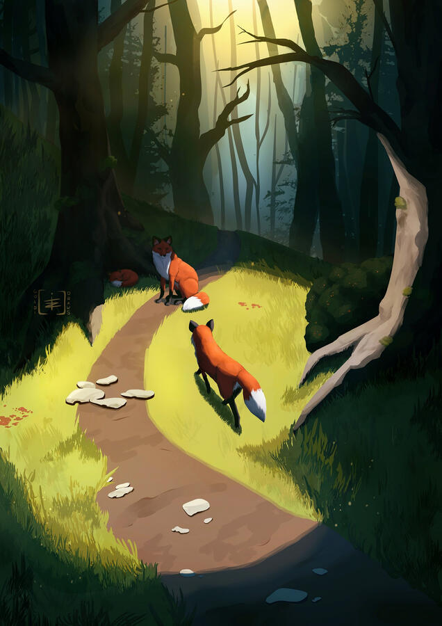 Foxes in the Forest